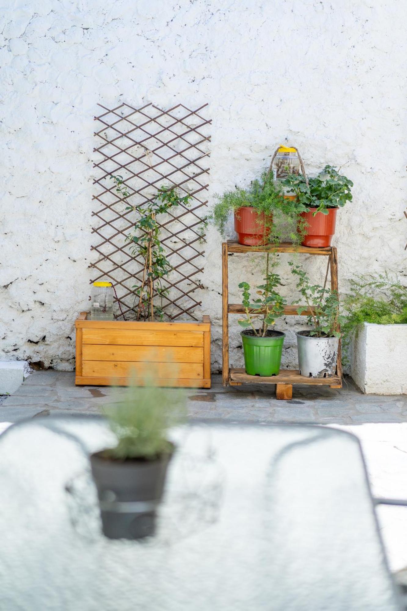 Spacious Home With Yard, Mytilene Lesvos Екстериор снимка